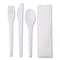 Eco-Products Plantware Renewable & Compostable Cutlery Kit - 6", PK250 EP-S015 - alternate 1